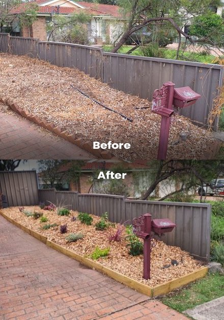 landscaping before and after(5)