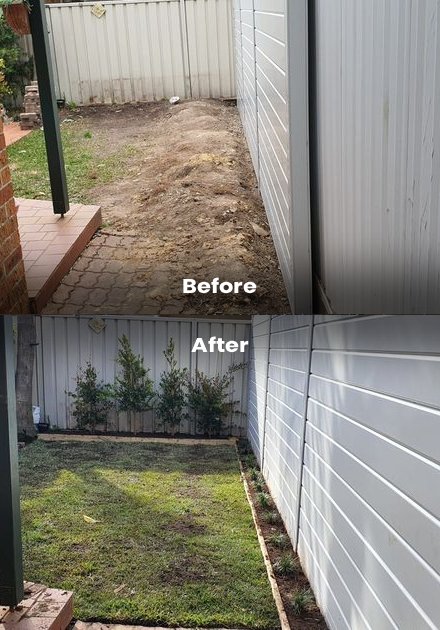 landscaping before and after(7)