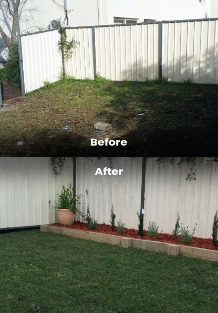 landscaping before and after(9)